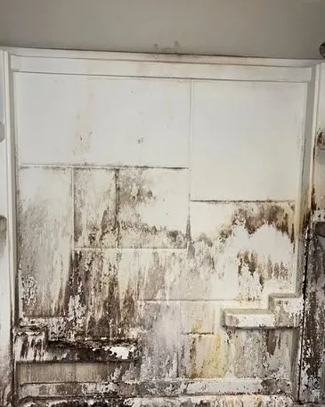 Shower Deep Clean before cleaning